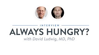 Heroic Interview Always Hungry with David Ludwig MD PhD [upl. by Hrutkay]