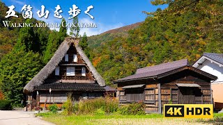 Walking around Gokayama（五箇山） Traditional Beautiful Japanese Village and Landscapes  4K HDR [upl. by Huntlee]