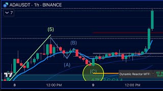 CARDANO is turning on [upl. by Asseram907]