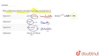 The chief excretory product of Leucosolenia is [upl. by Ignacius208]