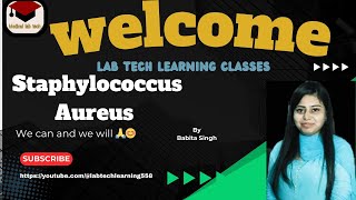 staphylococcus Aureus morphologyvirulence factor pathogenesisdiagnosisdetailsmltmicrobiology [upl. by Bert672]