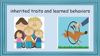 Inherited Traits vs Learned Behaviors 4th Grade  Flipped Classroom [upl. by Nylirret]