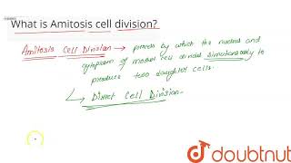 What is Amitosis cell division  CLASS 11  CELL CYCLE AND CELL DIVISION  BIOLOGY  Doubtnut [upl. by Mapel]