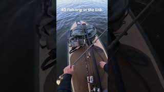 40 fish trip fishing ontario amp minnesota bass ampnorthernpike thanks for watching [upl. by Latrell]