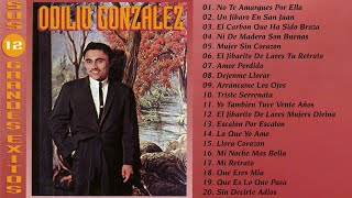 Odilio Gonzalez Sus Grandes Exitos Top 20 Grandes Exitos De Odilio Gonzalez Las Mejores Canciones [upl. by Annaiv]