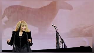 Stevie Nicks  Rhiannon  Live Bridgestone Arena Nashville TN  51424 [upl. by Neenej533]