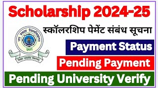 Scholarship 202425  Jp University scholarship 2024  scholarship matric  Intermediate [upl. by Oivat37]