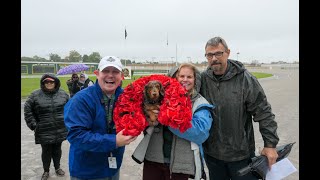 2024 Wiener Dog Races [upl. by Leoni]