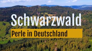 Schwarzwald Perle in Deutschland 🇩🇪 [upl. by Malvin975]