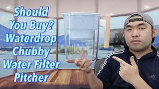 Should You Buy Waterdrop Chubby Water Filter Pitcher [upl. by Aihsetel]