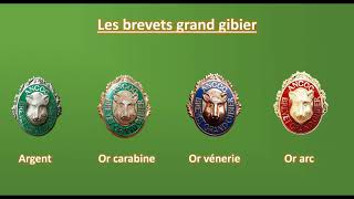 AGGGVO  Présentation du Brevet Grand Gibier [upl. by Cox]