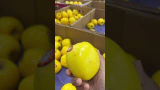 Gold Apple😱🙄😇 foryou trendingshorts food minivlog austin usa america apple grocery [upl. by Schmitz803]