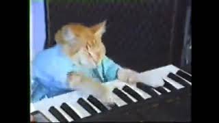 Keyboard Cat 1 Hour but its only the first part [upl. by Ivgnout]