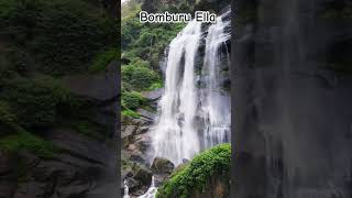 Water falls in srilanka 🇱🇰 nature waterfall dendrophile beautifulnature ❤️💚💙🤍 [upl. by Hadik]