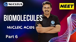 Nucleic acids II Biomolecules II Nucleus Neet academy [upl. by Obnukotalo575]