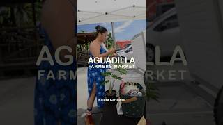 Encuentra nuestros productos en el Aguadilla Farmer’s Market [upl. by Gothard]