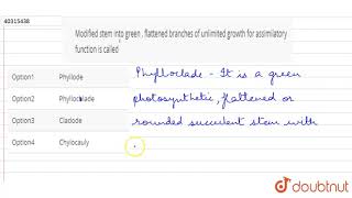 Modified stem into green  flattened branches of unlimited growth for assimilatory function is [upl. by Zebada751]