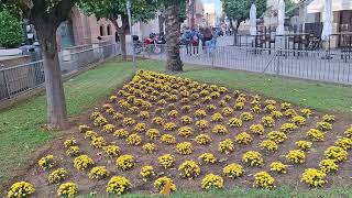 Un parterre con césped naranjos palmera datilera y flores de temporada [upl. by Hsenid]