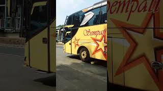 bus Sempati star poyager Cililitan shrots [upl. by Nnayd]