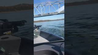 Tracker pro guide wt 16 Fall boat ride 90 Hp Mercury [upl. by Barraza533]