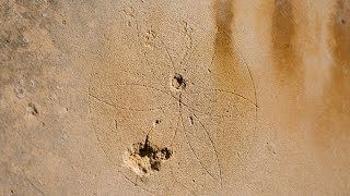 Longleats Historic Witches Mark [upl. by Dulcine]