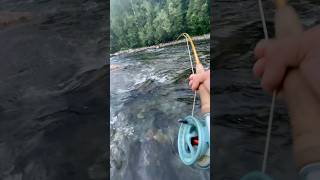 Salmonfishing Norway laksefiske fluefiske flugfiske flyfishing [upl. by Ainimre]