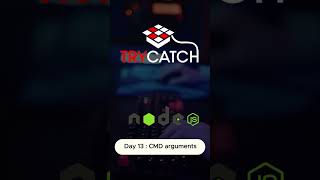 Day 13 Handling CommandLine Arguments in Nodejs NodeJS JavaScript CommandLineArguments [upl. by Wiltsey]