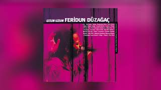 Feridun Düzağaç  Düşler Sokağı Uzun Uzun Official Audio [upl. by Joshia]