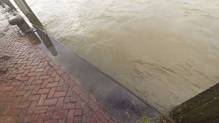 Hoogwater in Dordrecht 24 november 2023 [upl. by Marylee230]