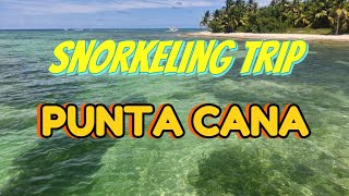 Snorkelling excursion in Punta Cana helping the coral reefs [upl. by Bum]