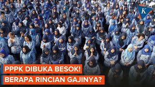 Pendaftaran PPPK Dibuka Besok Ini Rincian Gajinya [upl. by Nissa]