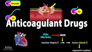 Pharmacology Anticoagulants Animation [upl. by Fonzie]