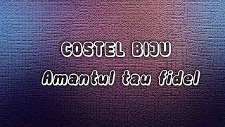 Costel Biju  Amantul tau fidel LyricsVersuri [upl. by Sill67]