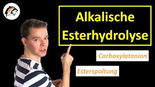 Alkalische EsterhydrolyseVerseifung  Chemie Tutorial [upl. by Aikahc]