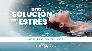 Elimina el ESTRÉS y alivia la ANSIEDAD con esta Meditación GUIADA MINDFULNESS Mindful Science 🎧8D [upl. by Soelch]