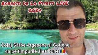 COLAJ SÂRBE ARGESENE SI GORJENE MELODII ALESE  ROBERTO DE LA PITESTI LIVE 2024 [upl. by Malti411]