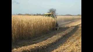 Miscanthus Grass Harvesting [upl. by Aneen]