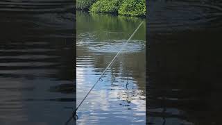 Fishing in the Everglades fishing airboat bassfishing [upl. by Ngo53]