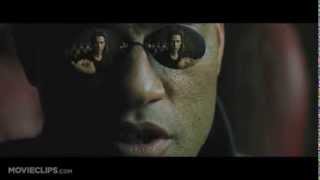 The Matrix  A quotBad Lip Readingquot video [upl. by Lissie]