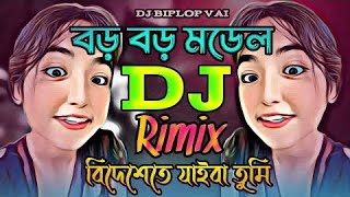 Boro Boro Model 🥵 DJ  বড় বড় মডেলডিজে গানTiktok Vairal Dj GanDj Biplop Vai [upl. by Elletnwahs]