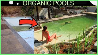 DIY Transformation to Organic Pool in 5 minutes [upl. by Oivaf]