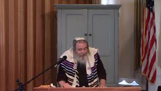 Rabbi Moshe Beit Torah Parashah 2 NoachWalked with God 69–1132 11022024 [upl. by Ahsya]