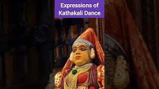 Expressions of Kathakali Dance [upl. by Mccutcheon940]