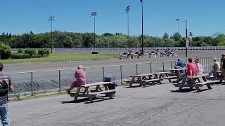 Saratoga Harness  16000 Open Pace Fillies and Mares July 3 2022 [upl. by Merkley]