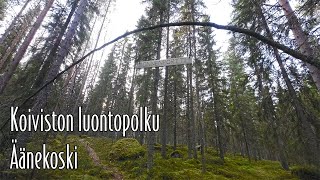 Koiviston luontopolku Äänekoski [upl. by Terhune683]