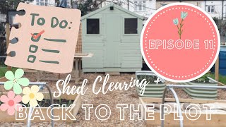 Episode 11  Shed Clearing and Back to the Plot [upl. by Ihskaneem462]