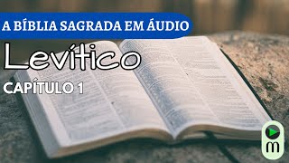 AUDIOBOOK A BÍBLIA NARRADA  LEVÍTICO CAP 1 [upl. by Ahsoym]