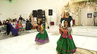 Bache Kabul  Aryana Sayeed  Afghan Cultural Charity Event  HAPPY INTERNATIONAL DANCE DAY [upl. by Knowle209]