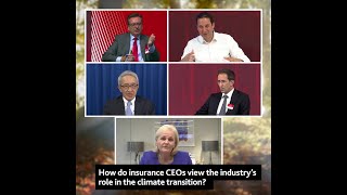 How do insurance CEOs view the industrys role in climate transition [upl. by Haimehen697]