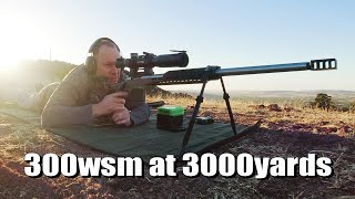 300 Winchester Short Magnum at 3001yards [upl. by Anih]